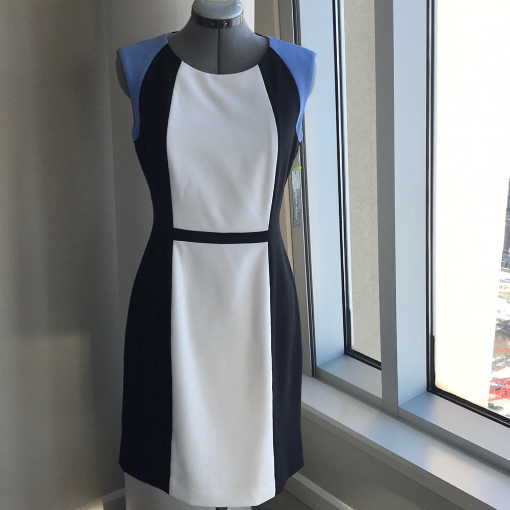Chelsea Rose Dress. NWT